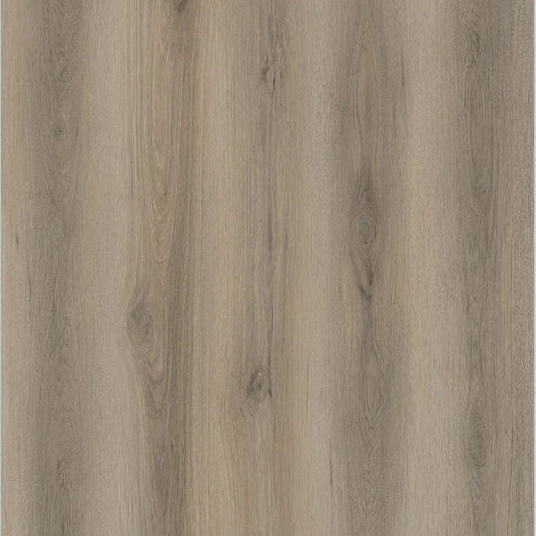 Appalachian Pecans-D