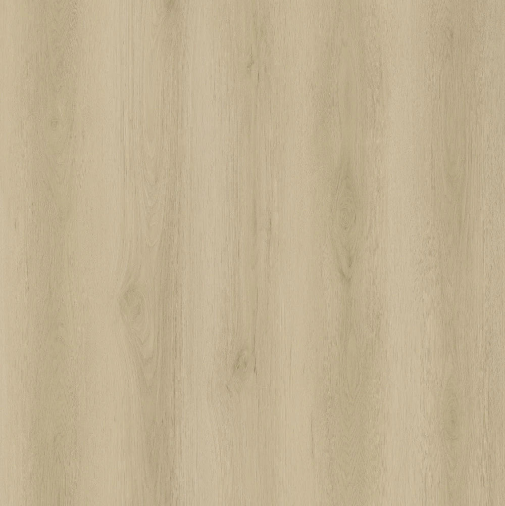Appalachian Pecans-L