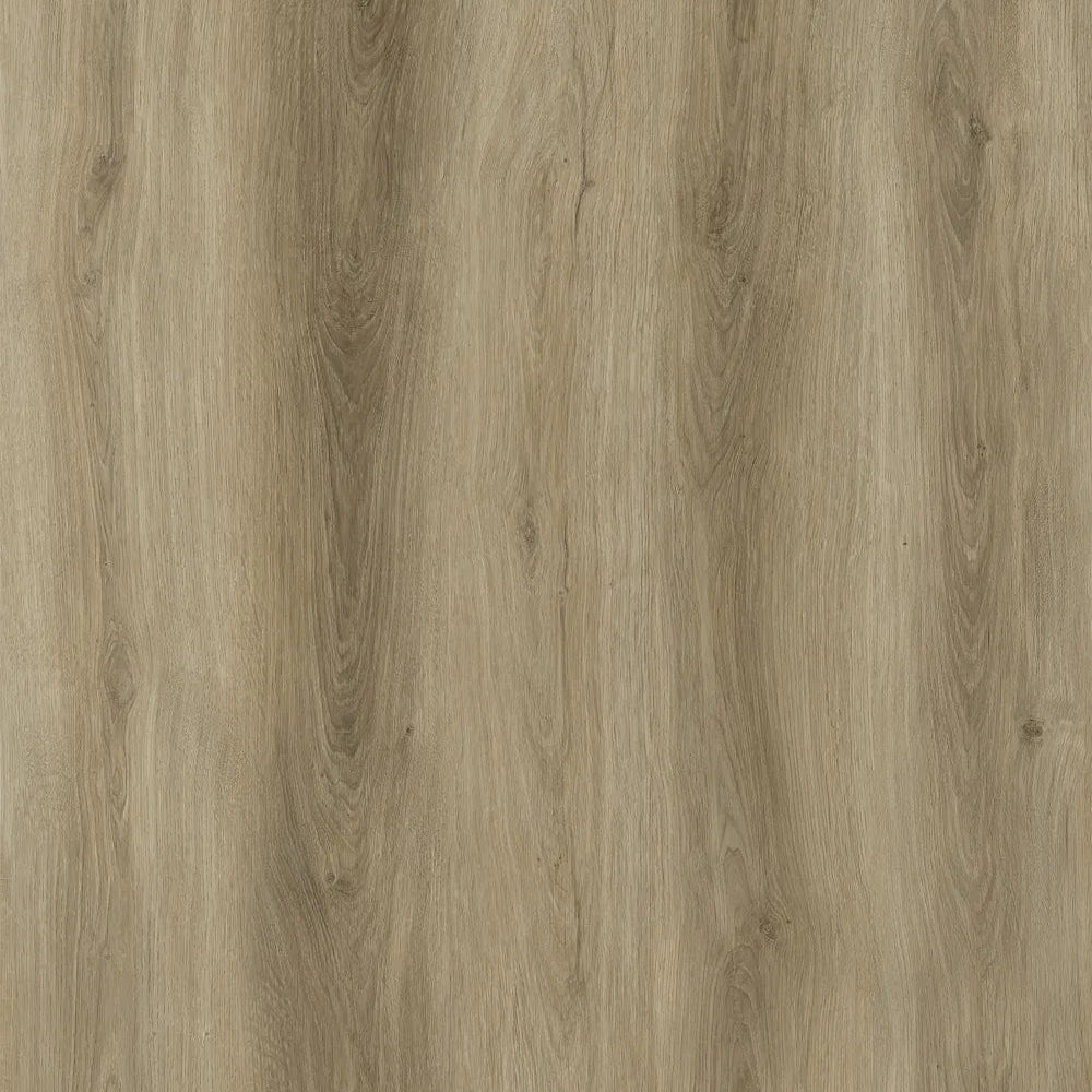 Charlotte Oak