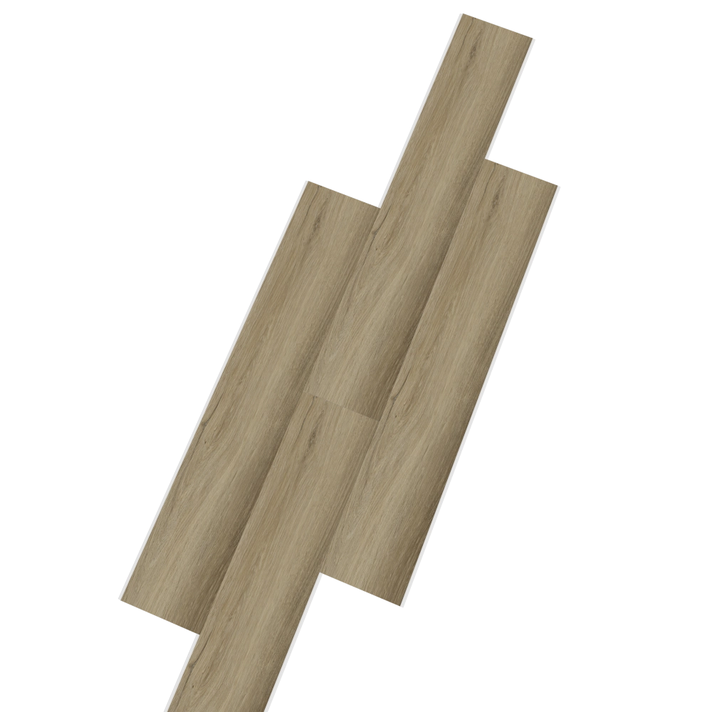 Charlotte Oak