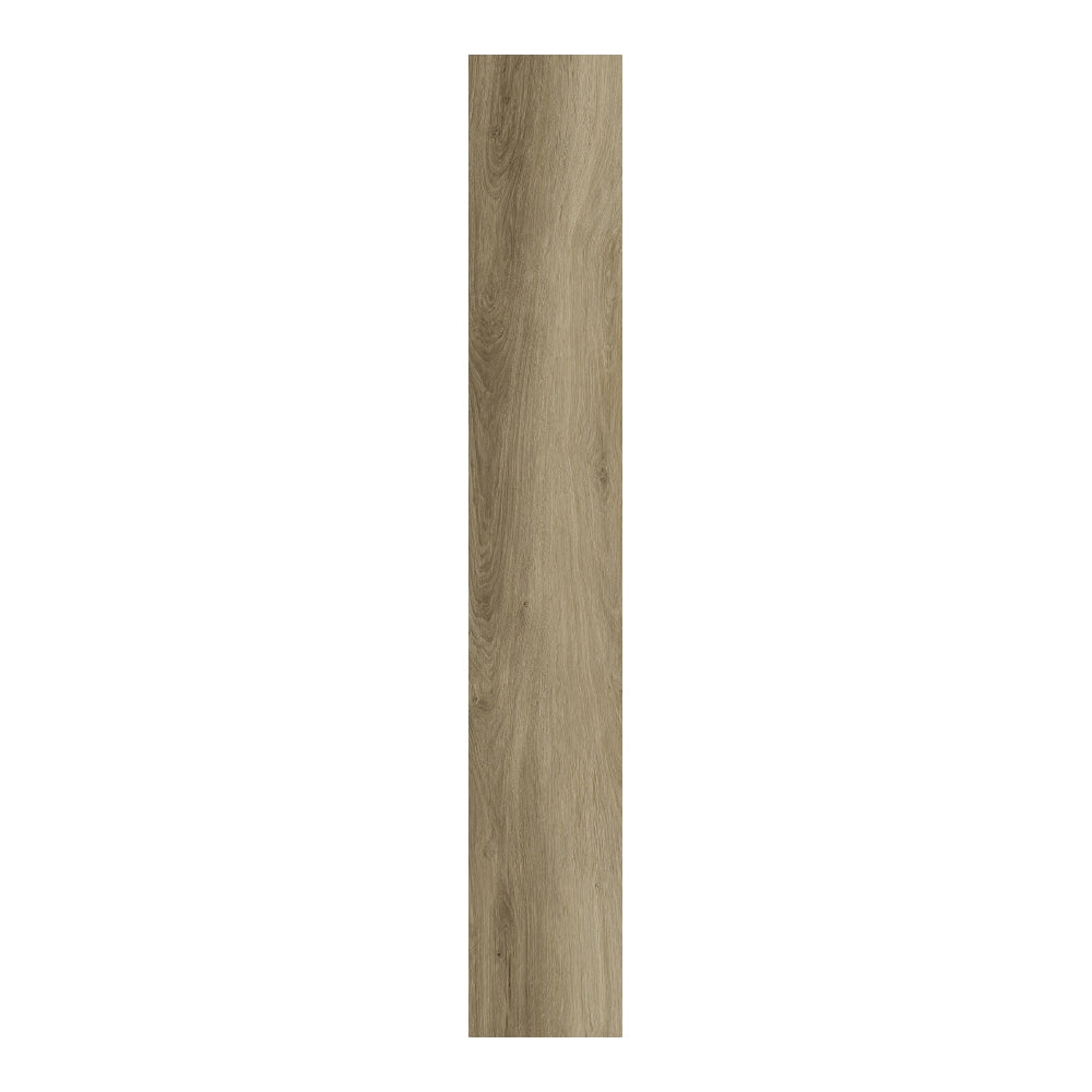 Charlotte Oak