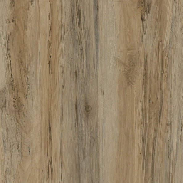 Glacier Maple