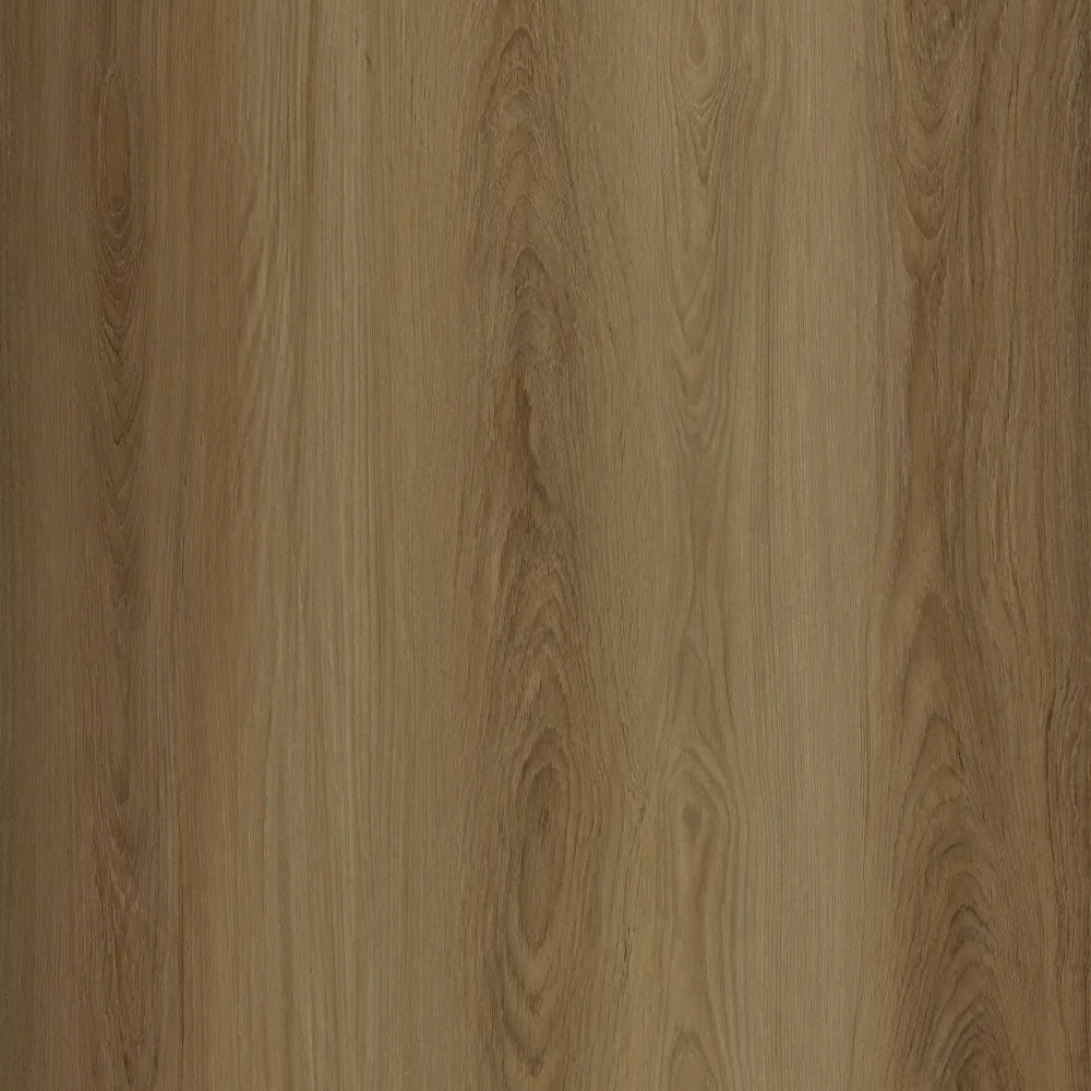 Mozambican Teak