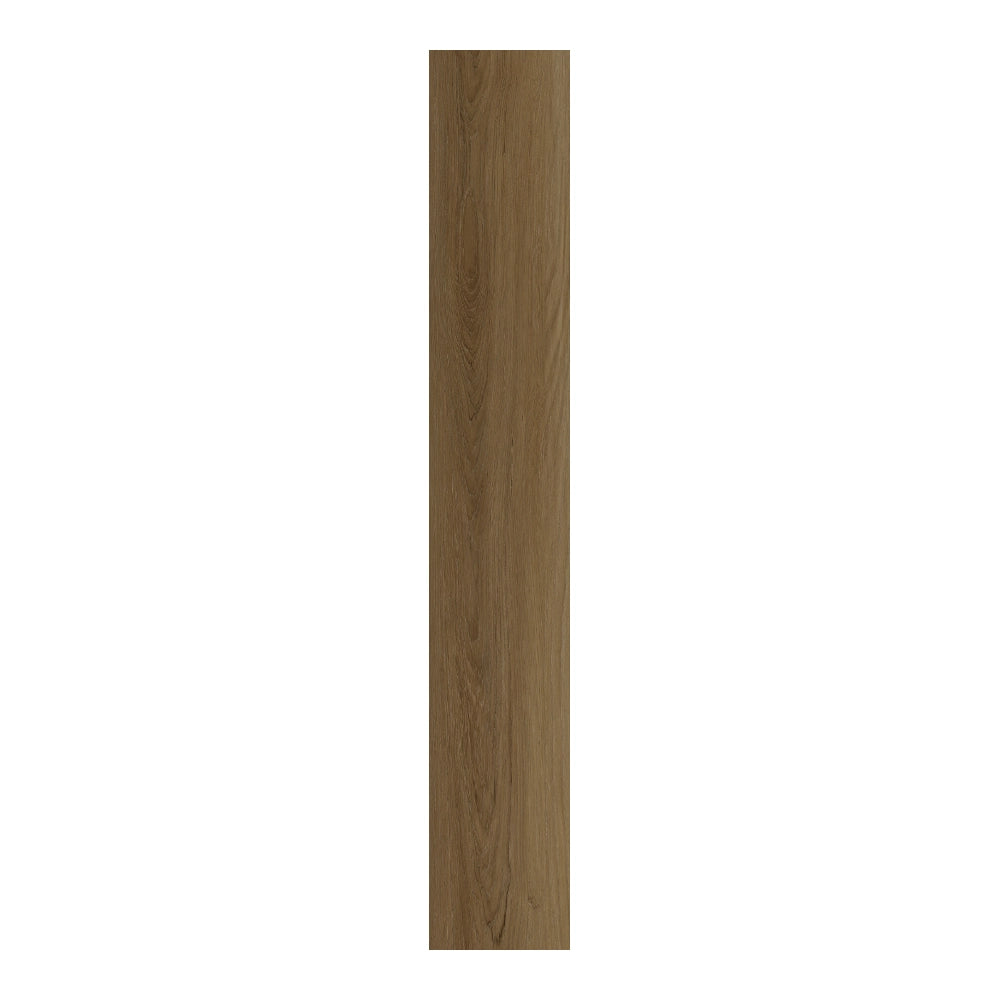 Mozambican Teak