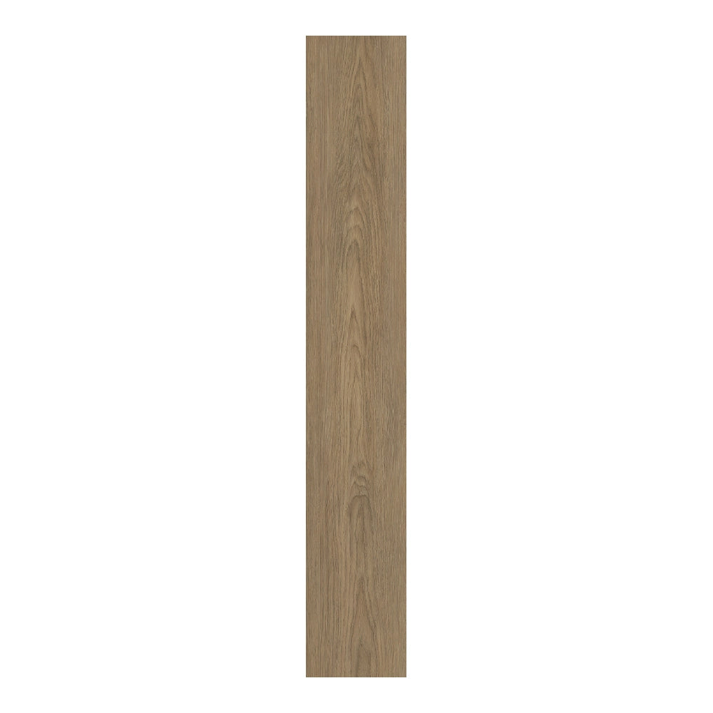 Ness Oak-L