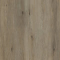 Pecans Oak