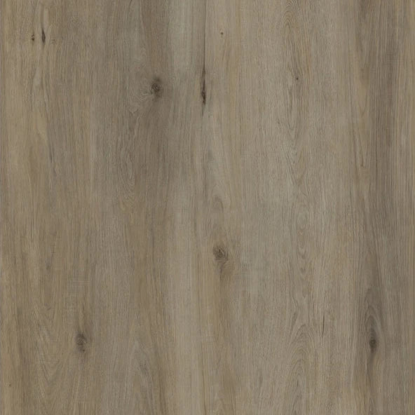 Pecans Oak