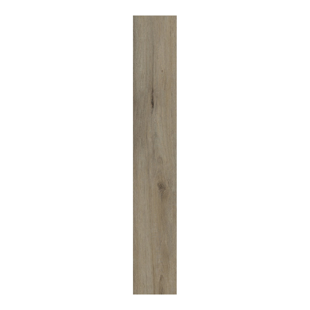 Pecans Oak