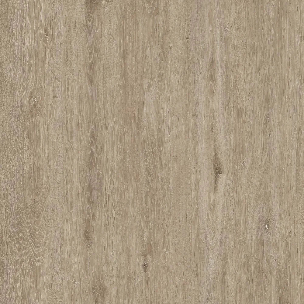 Sandy Ridge Oak