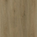 Sunset Oak