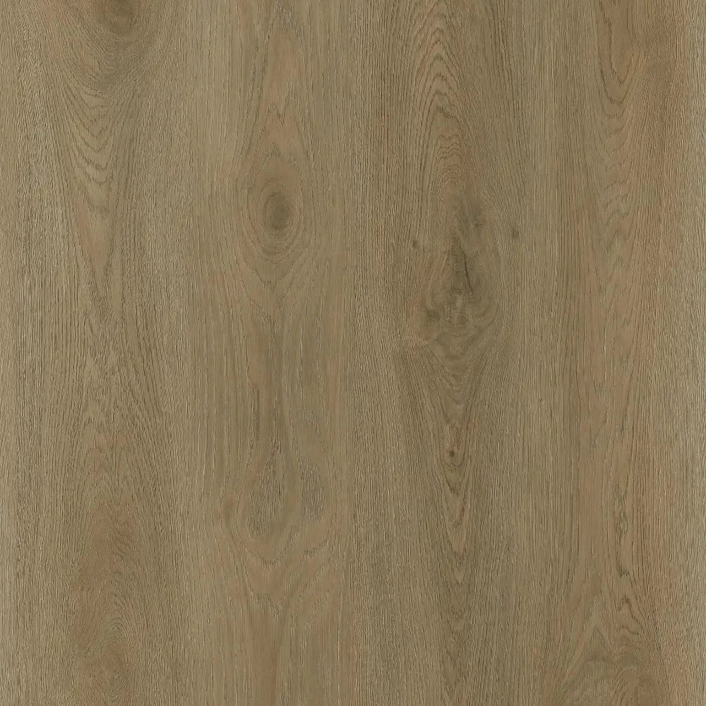 Sunset Oak
